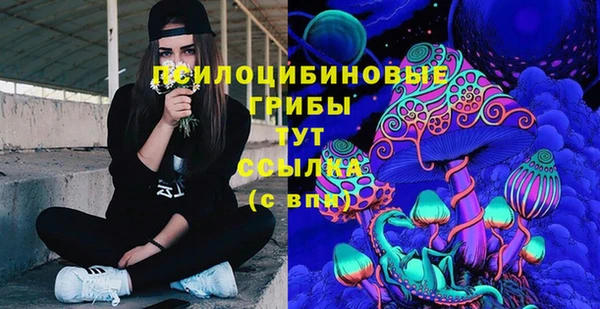 СК Корсаков