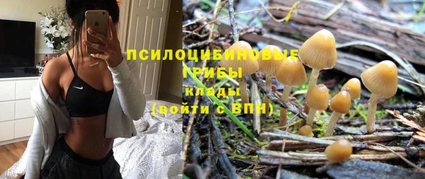 не бодяженный Коряжма