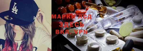 СК Корсаков