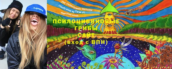 СК Корсаков