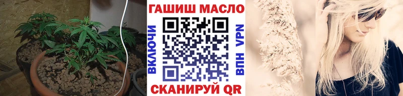 площадка Telegram  Новошахтинск  ТГК THC oil  закладка 